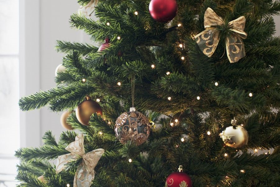Virkelig forestille Celebrity Højt fra træets grønne top, tekst og melodi - DUDAs julesange